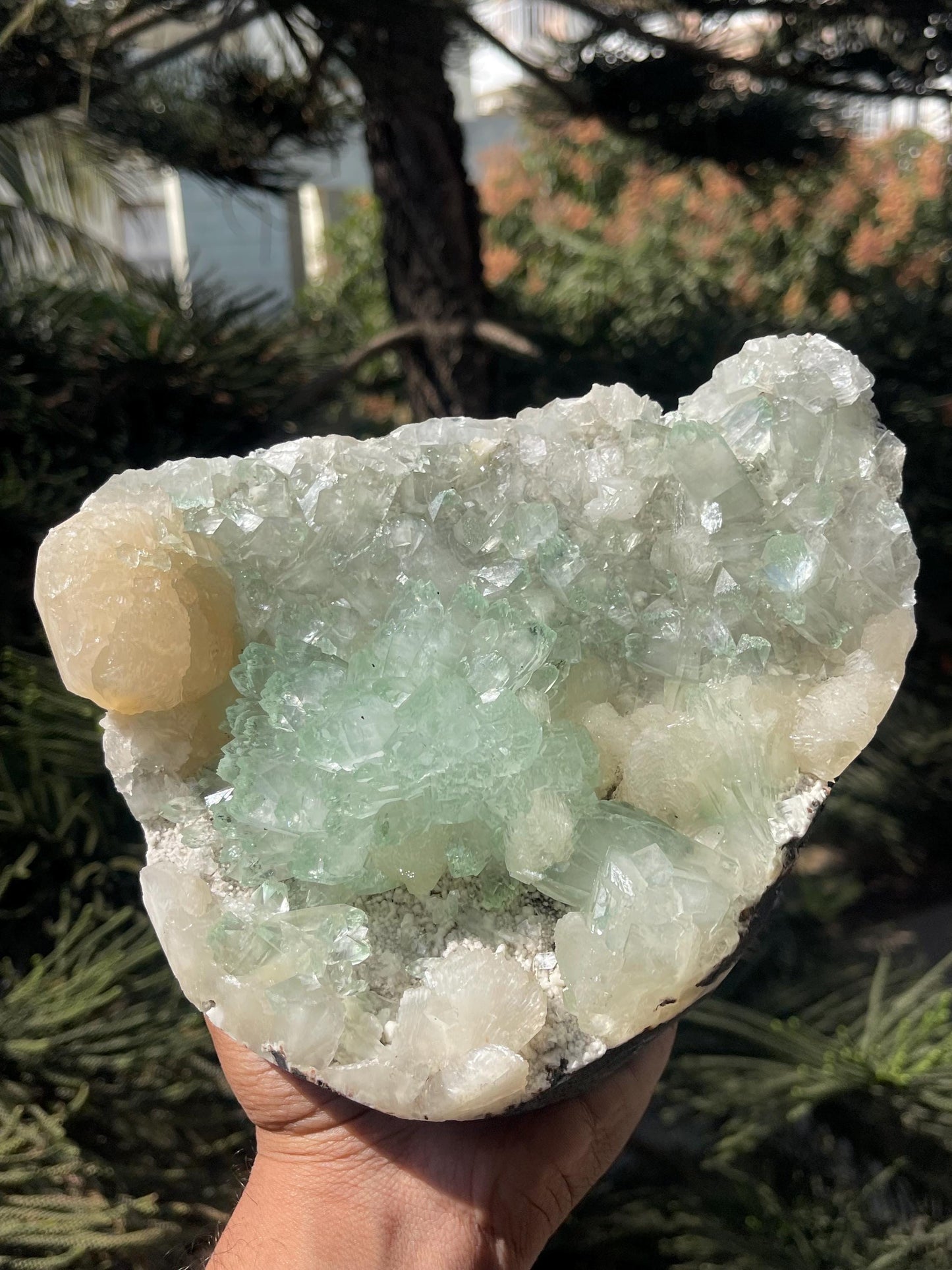 light green apophyllite flower with stilbite