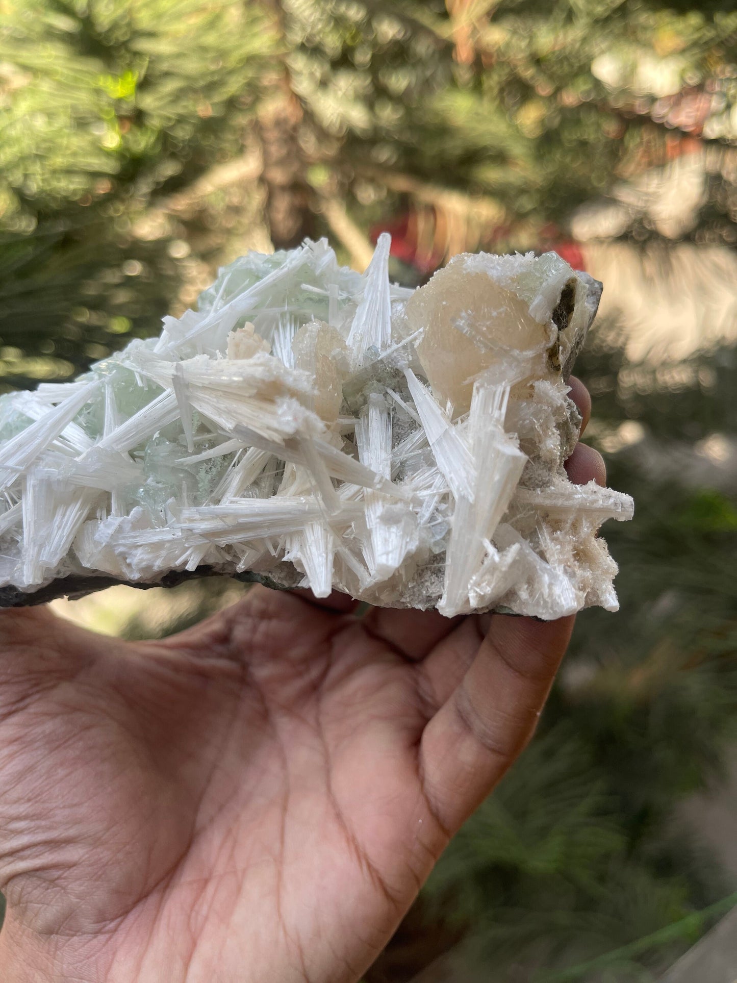 Scolecite  spray with green apophyllite/stilbite