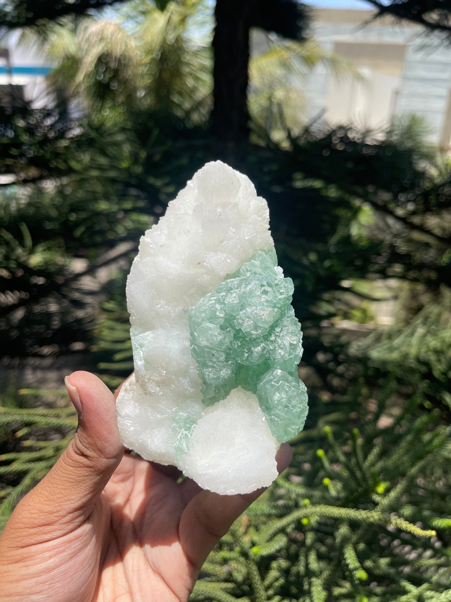 Green apophyllite flower with glossy stilbite natural specimens