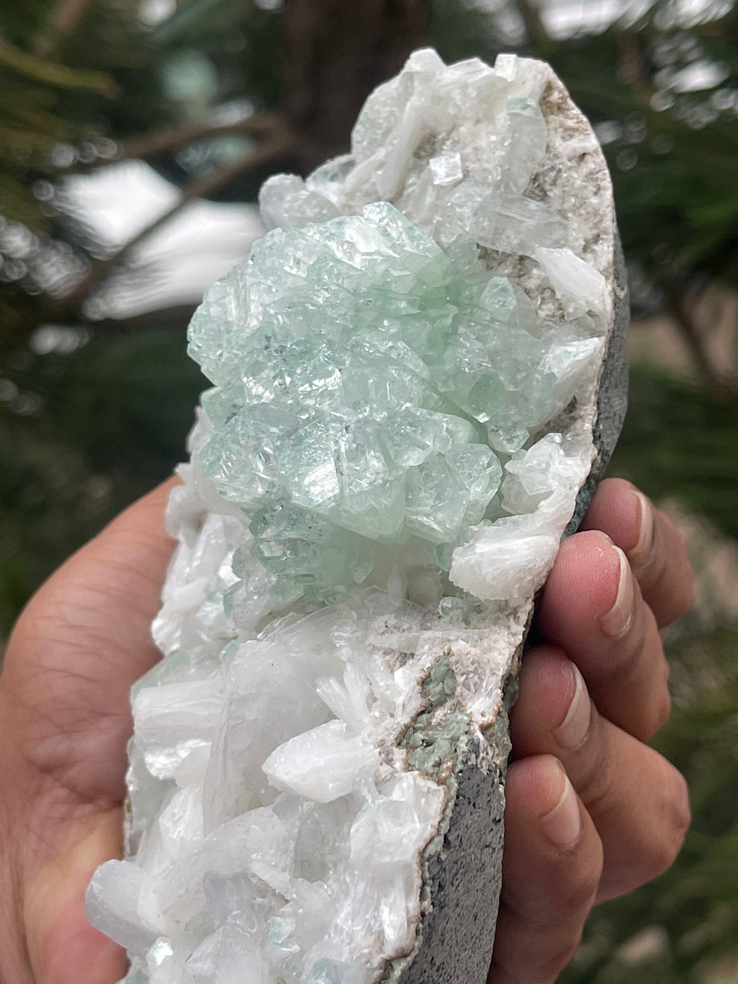 Green apophyllite crystals with stilbite