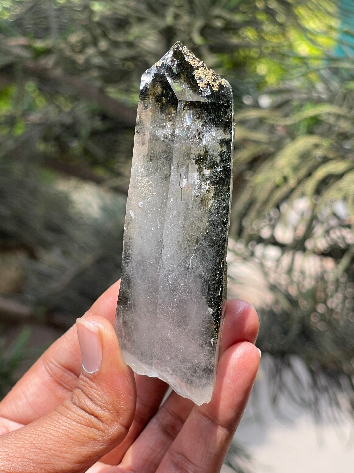 Himalayan Chlorite Quartz Crystal