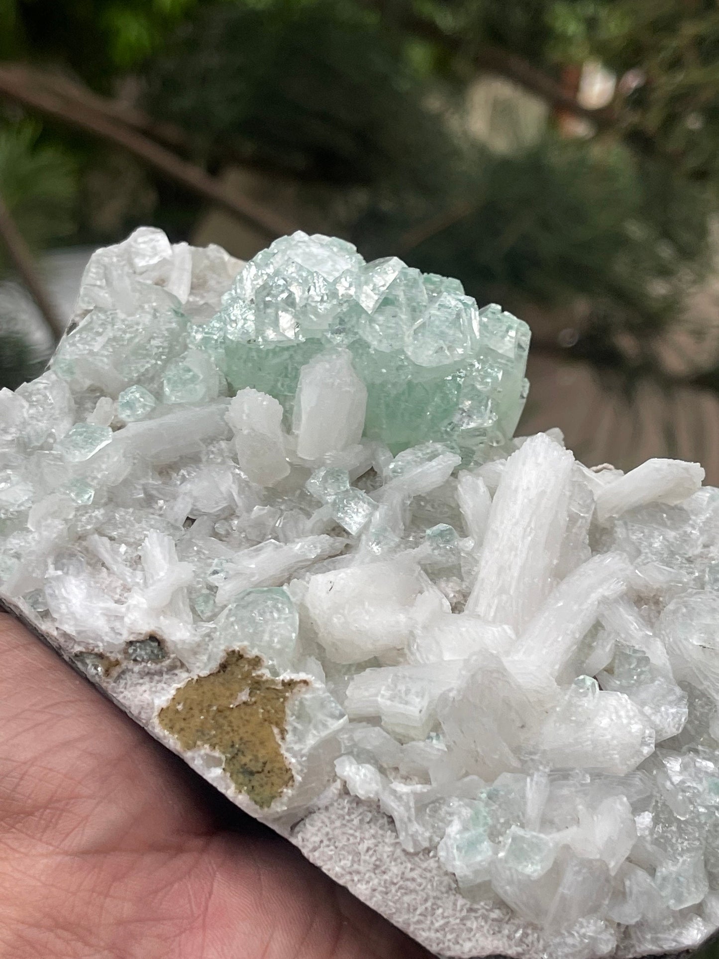 Green apophyllite crystals with stilbite