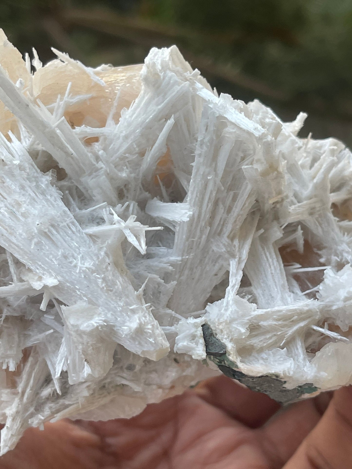 Scolecite spray on stilbite base