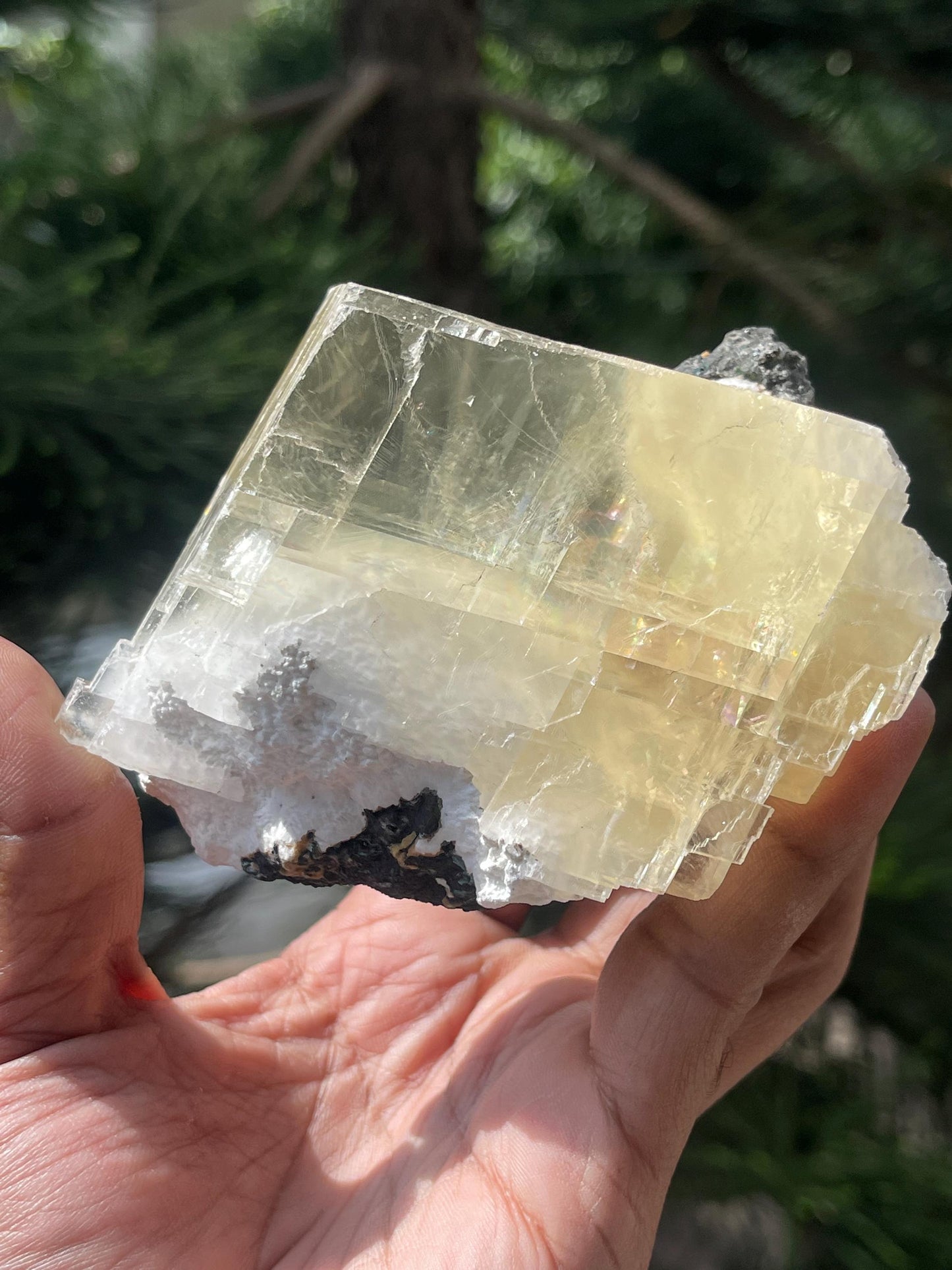 Golden calcite crystal inside mordenite with rainbow