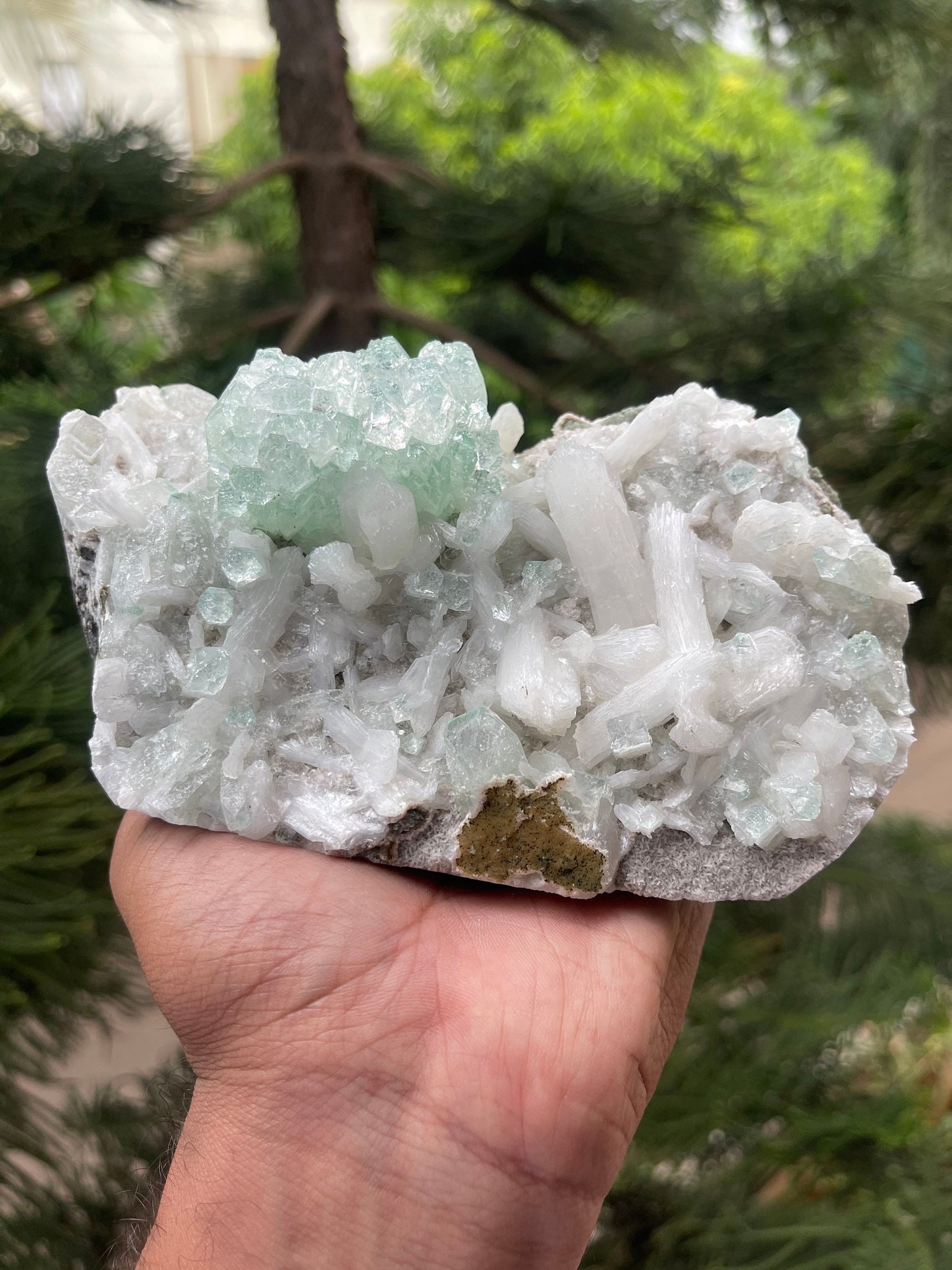 Green apophyllite crystals with stilbite