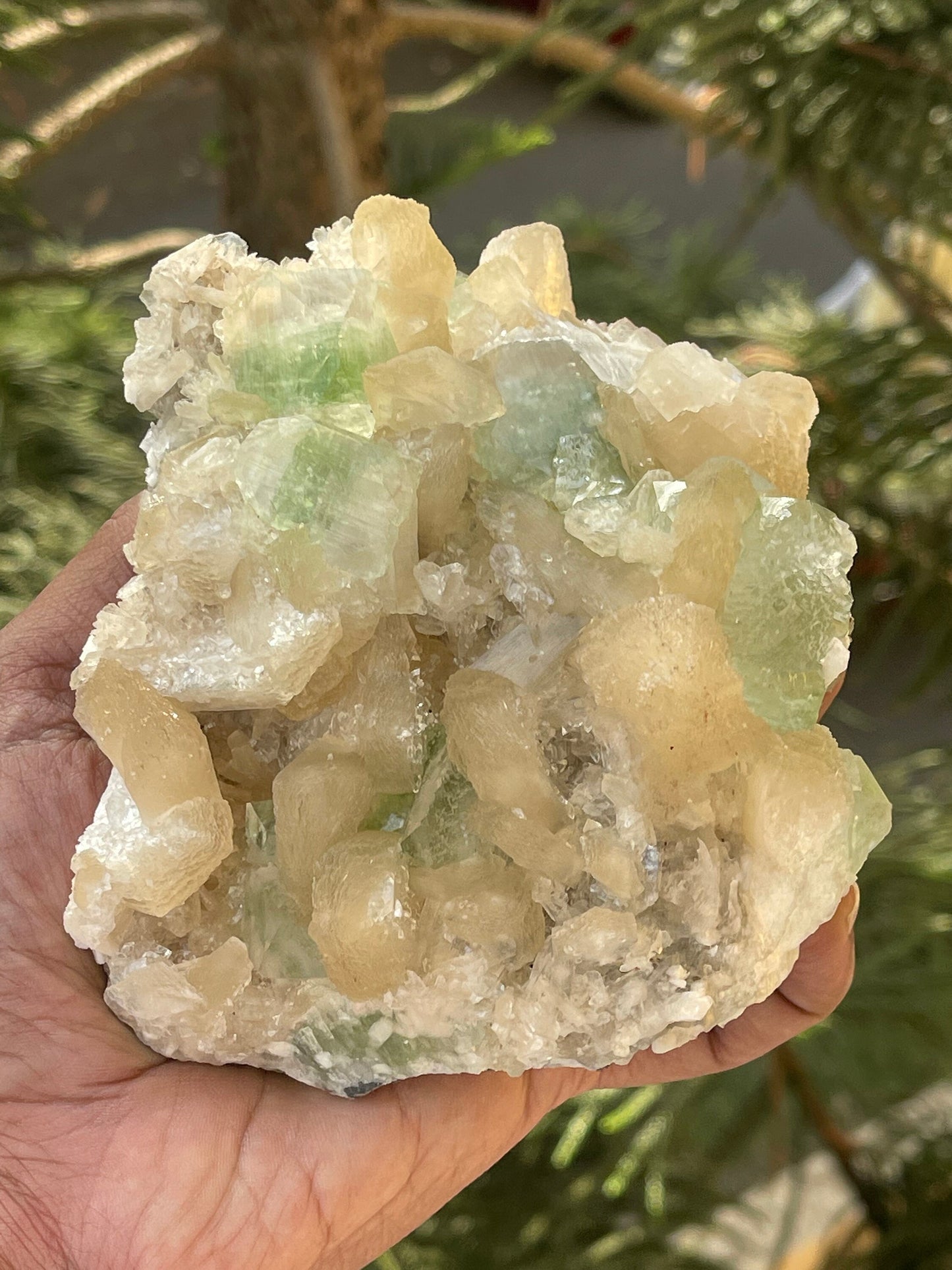 Cubicle green apophyllite crystal on stilbite