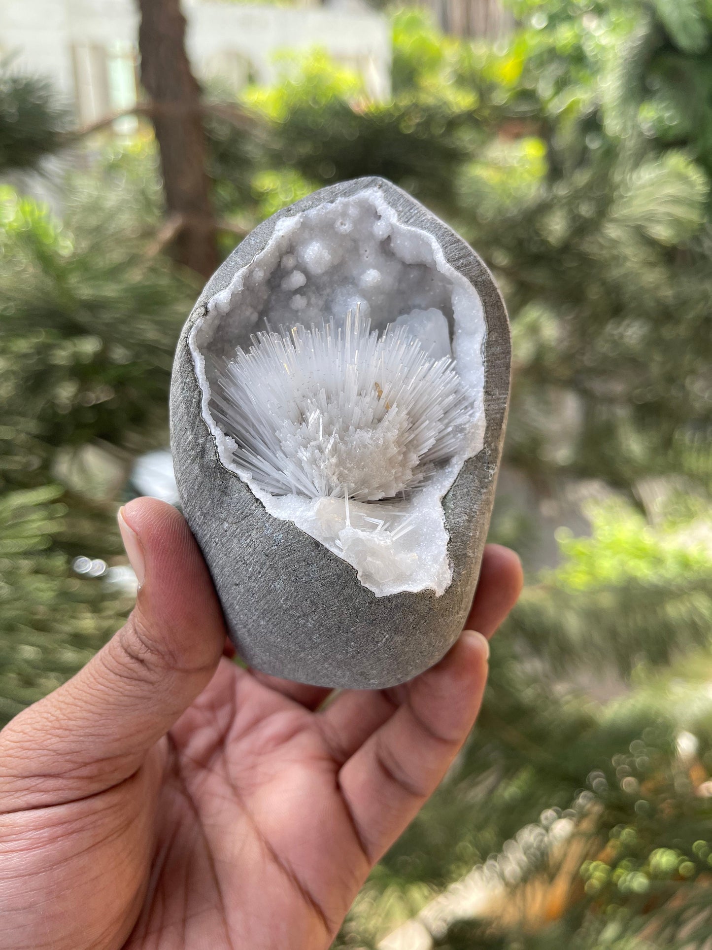 Scolecite flower with stilbite crystal insides quartz geode