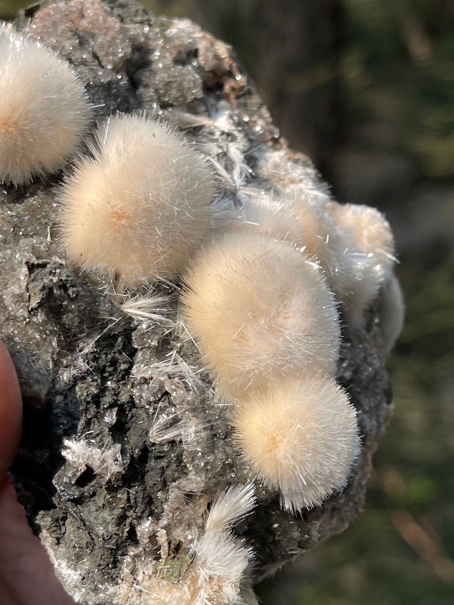 Natural orange mesolite balls on matrix new find