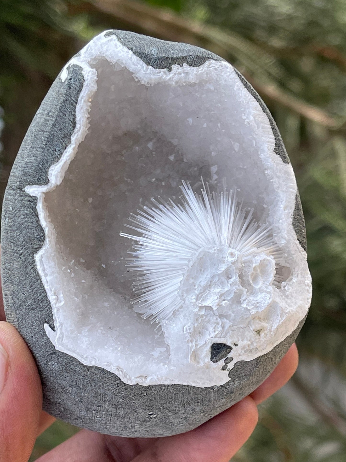 Perfect scolecite flower inside quartz geode natural specimen