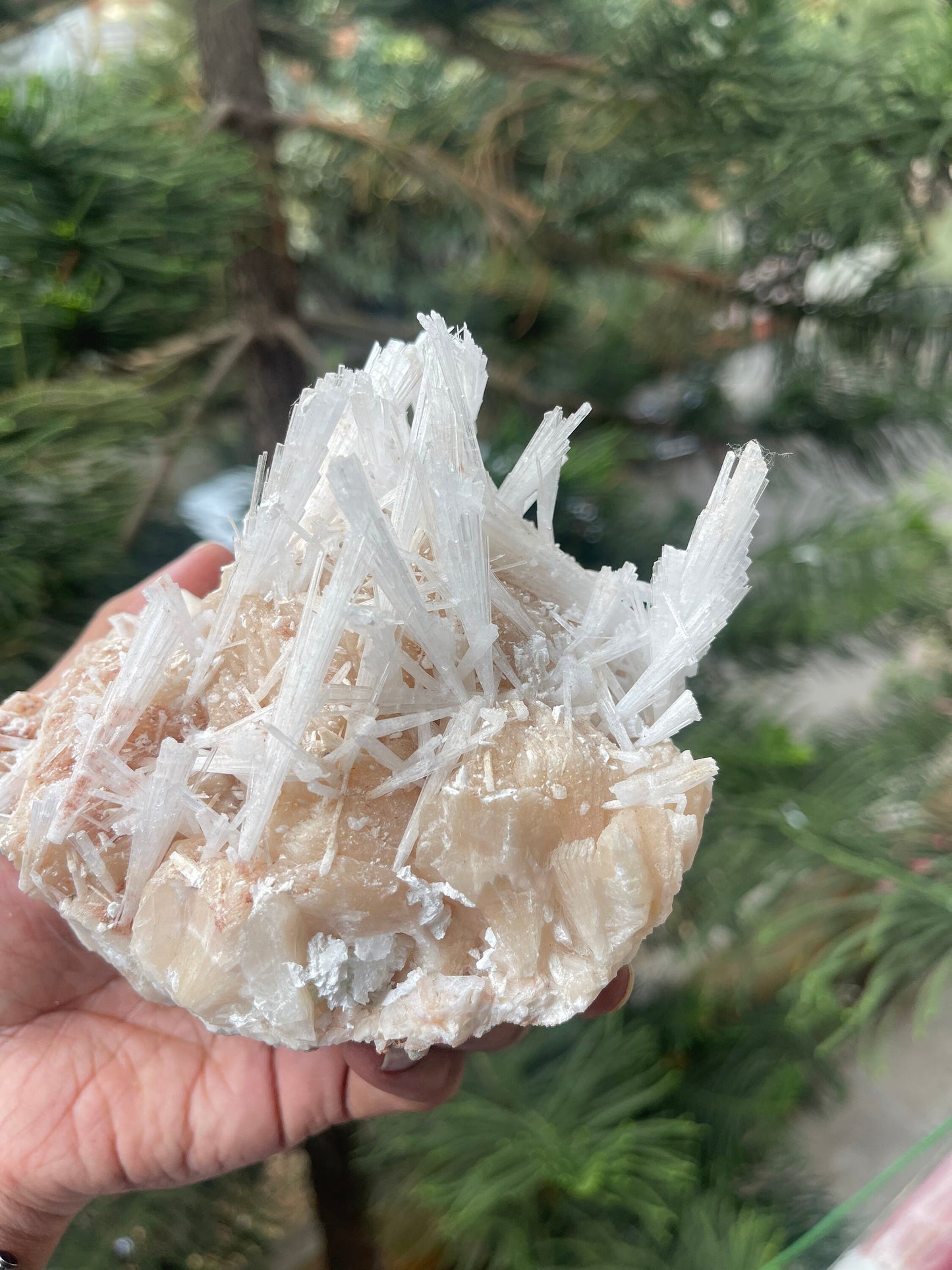 Scolecite spray on stilbite mineral