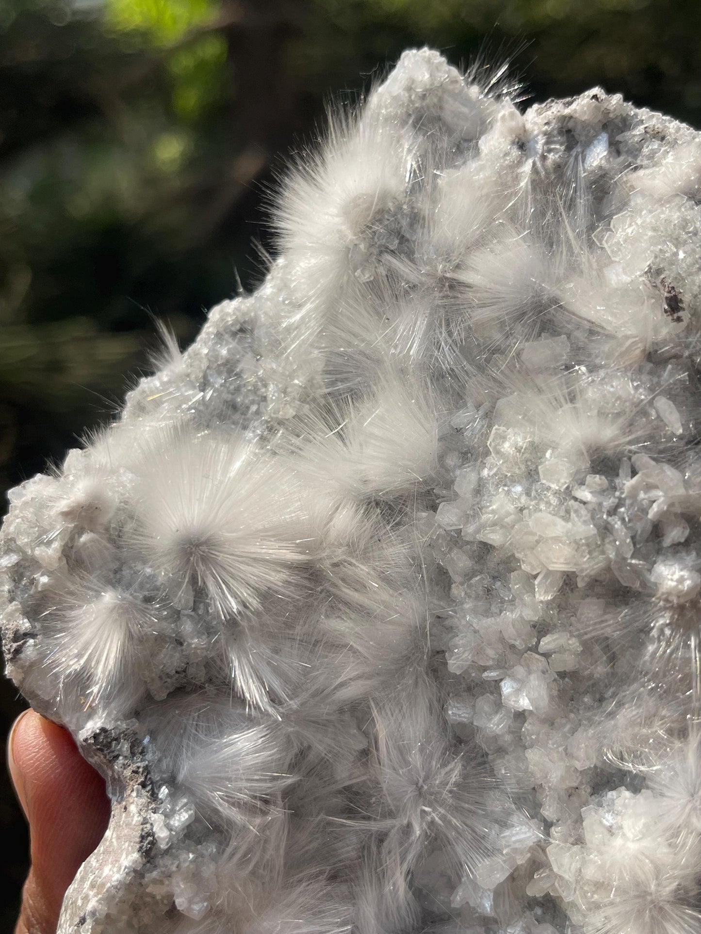 new find mesolite flowers on heulandite matrix