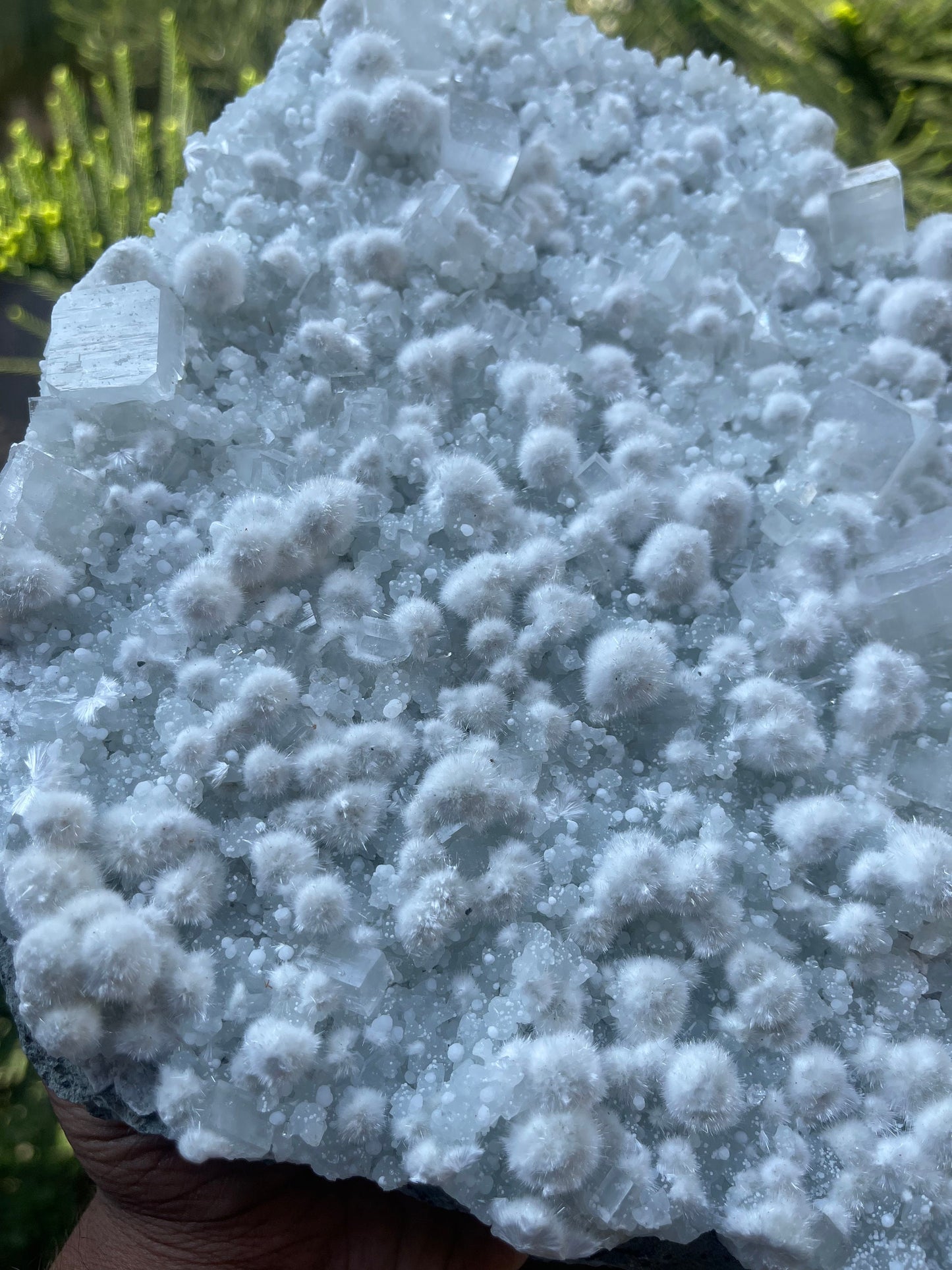 Multiple okenite balls with apophyllite crystal natural specimen