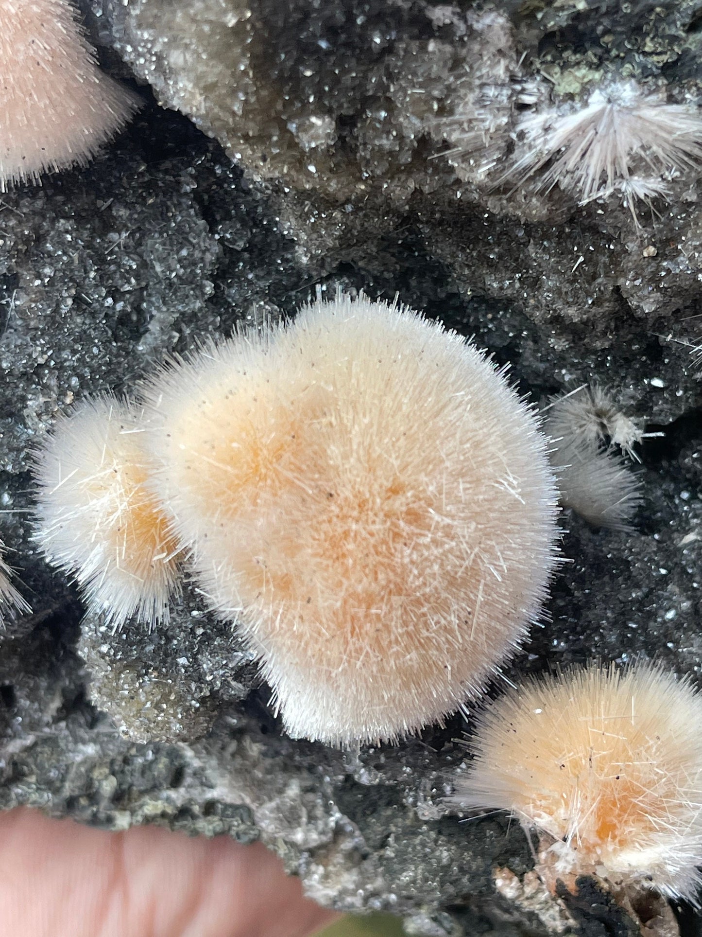 Orange mesolite ball on black matrix