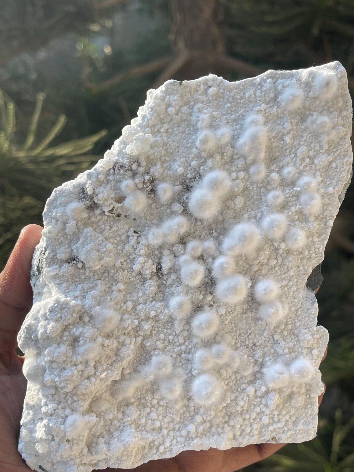 multiple okenite balls on matrix