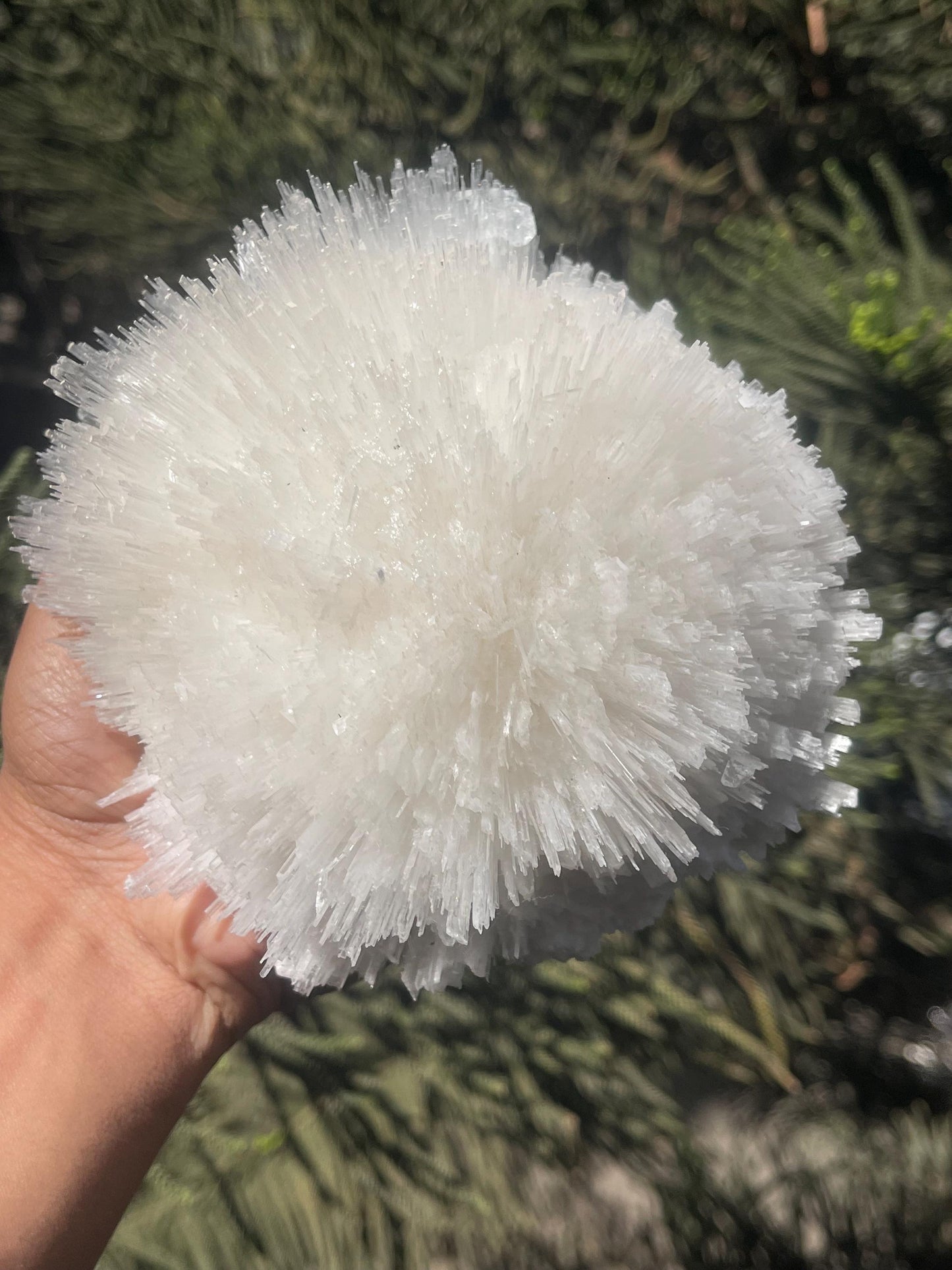perfect scolecite flower