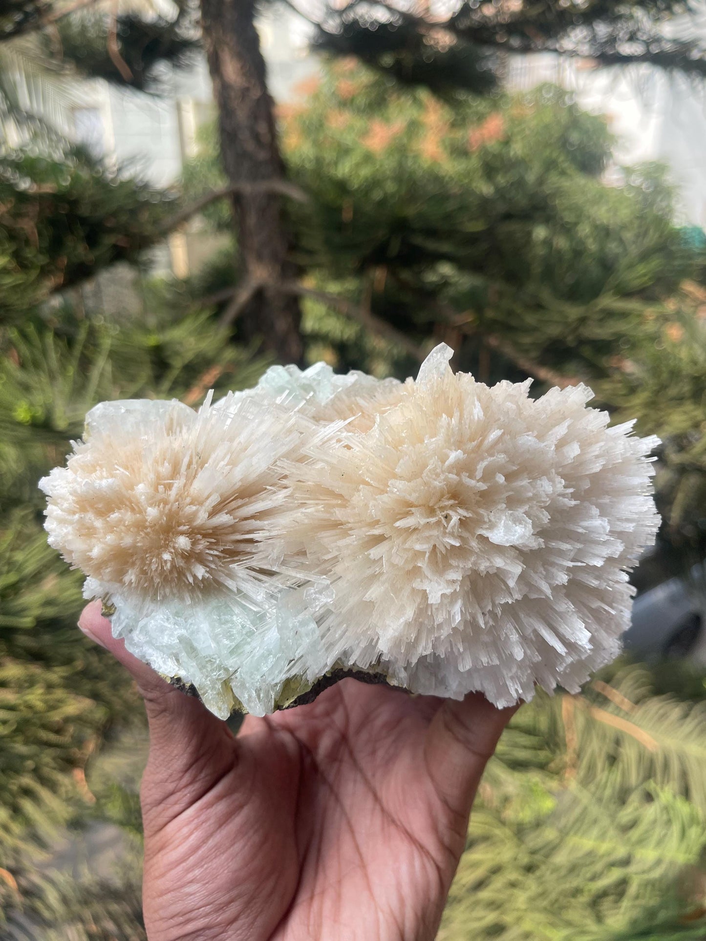 Pink scolecite flower with green apophyllite crystals