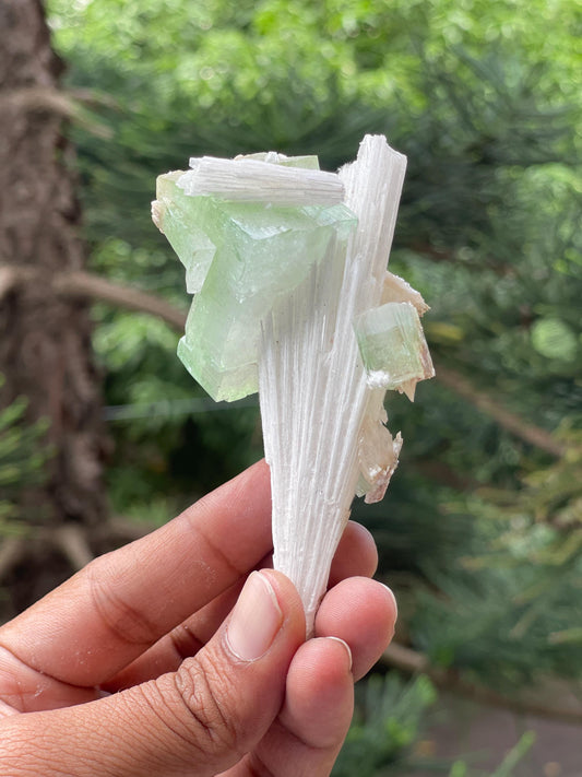 Green apophyllite crystal on scolecite spray natural specimen