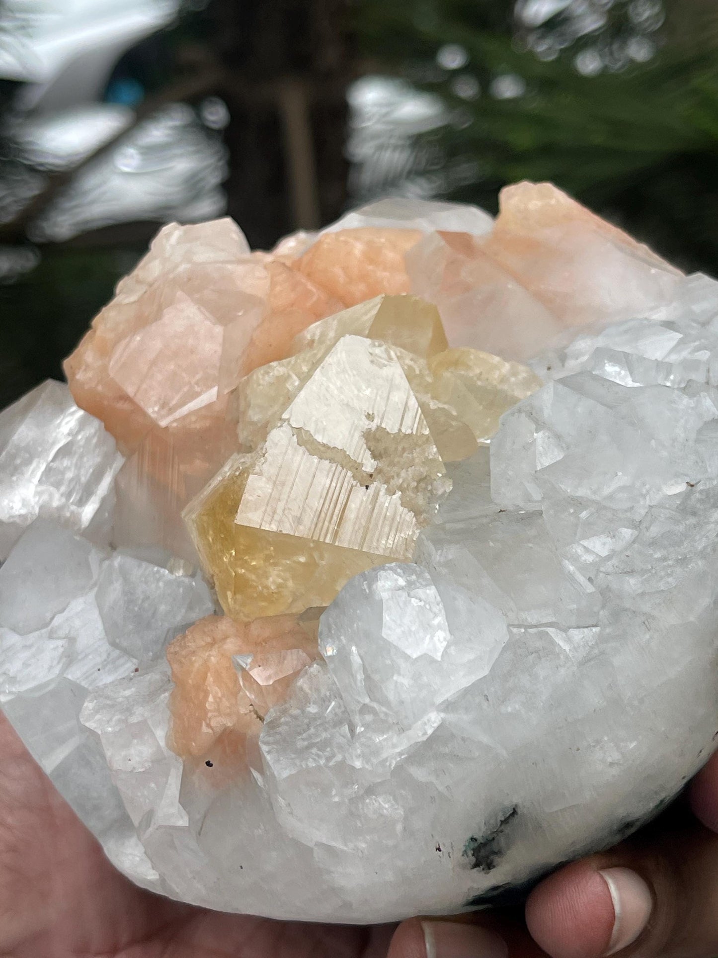 Large size of powellite crystal with orange stilbite/apophyllite
