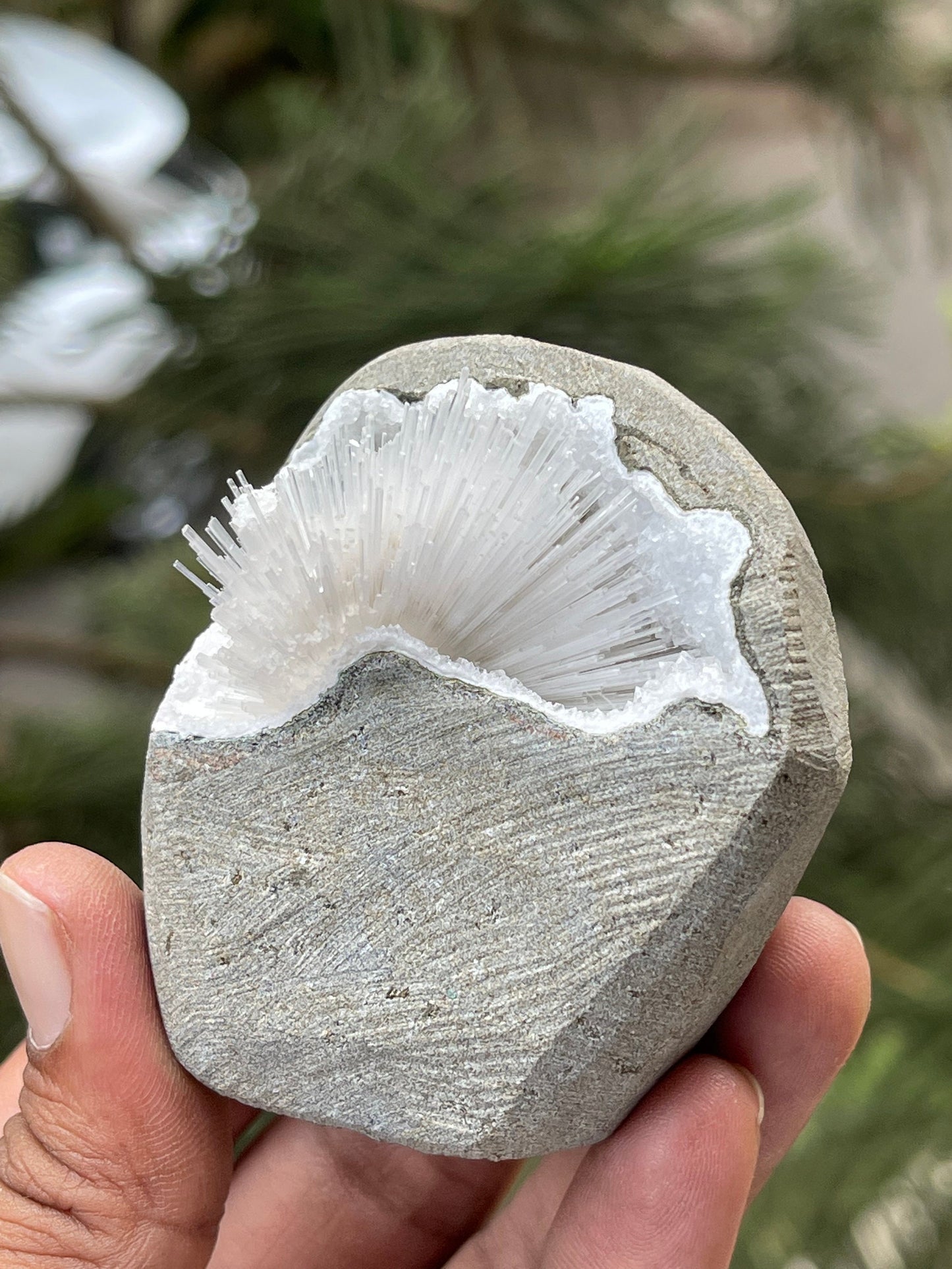 Scolecite flower inside geode