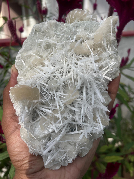Glossy scolecite spray with stilbite on chalcedony matrix