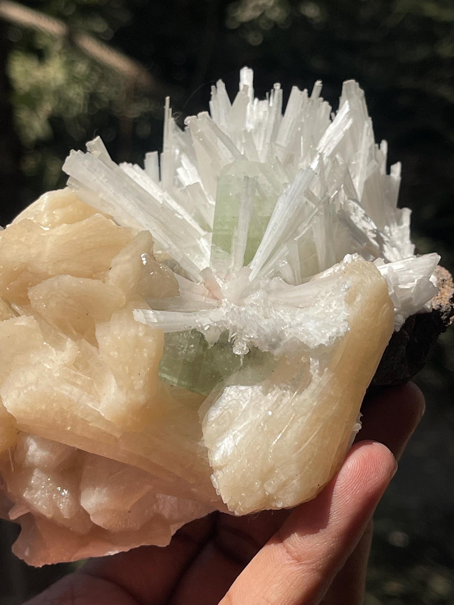 Green Apophyllite crystal  on Scolecite Flower with Peach Stilbite