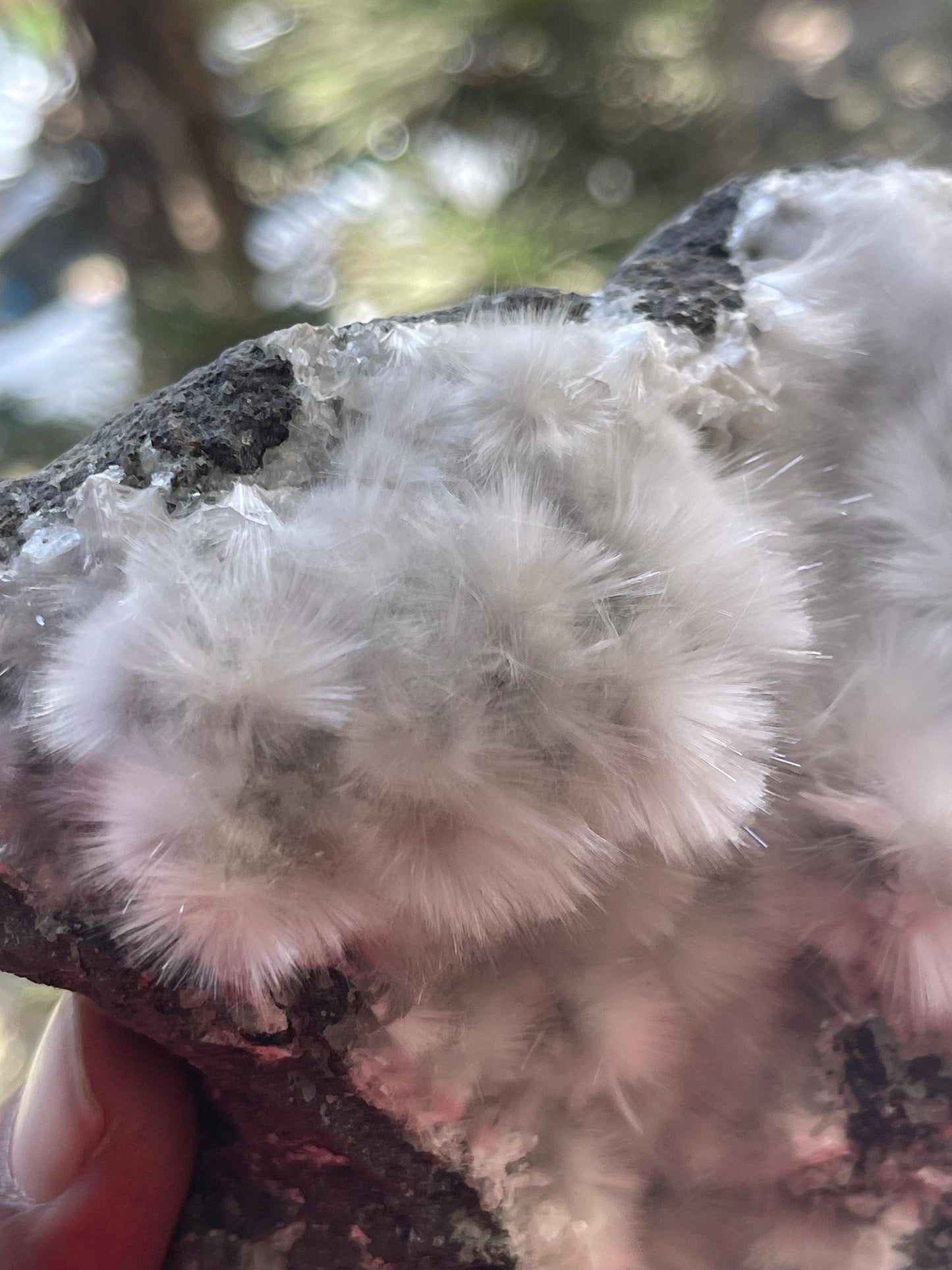 mesolite flowers on matrix new find
