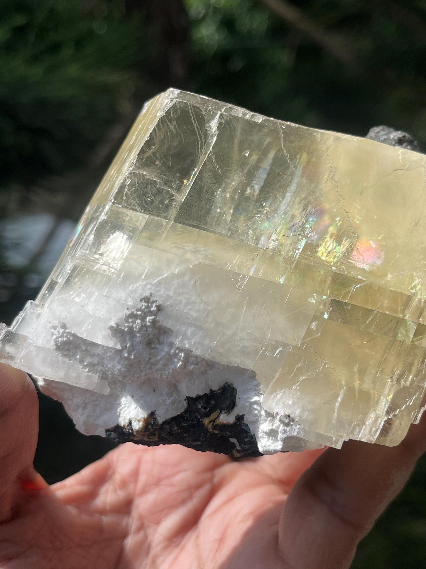 Golden calcite crystal inside mordenite with rainbow