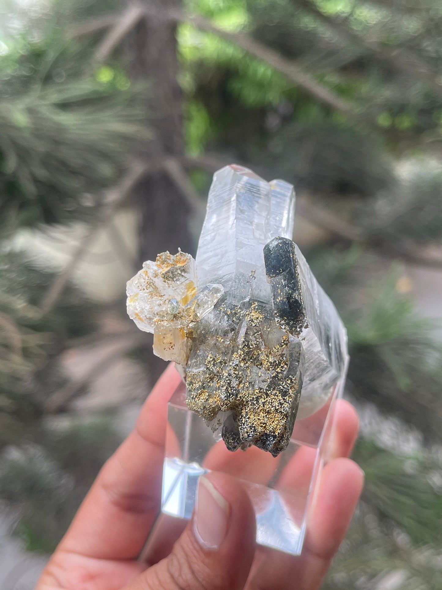 Rare formation of Himalayan quartz crystal