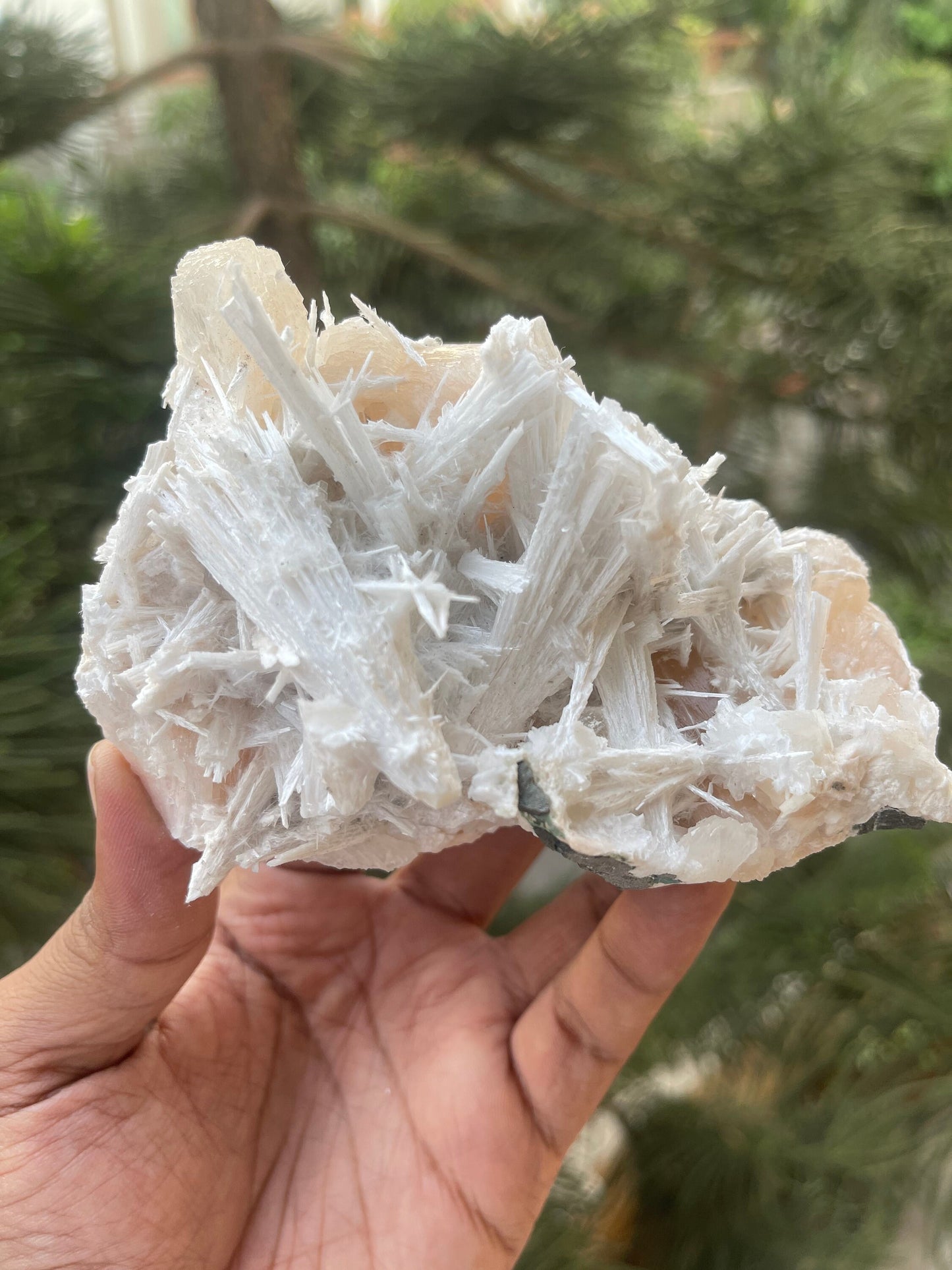 Scolecite spray on stilbite base