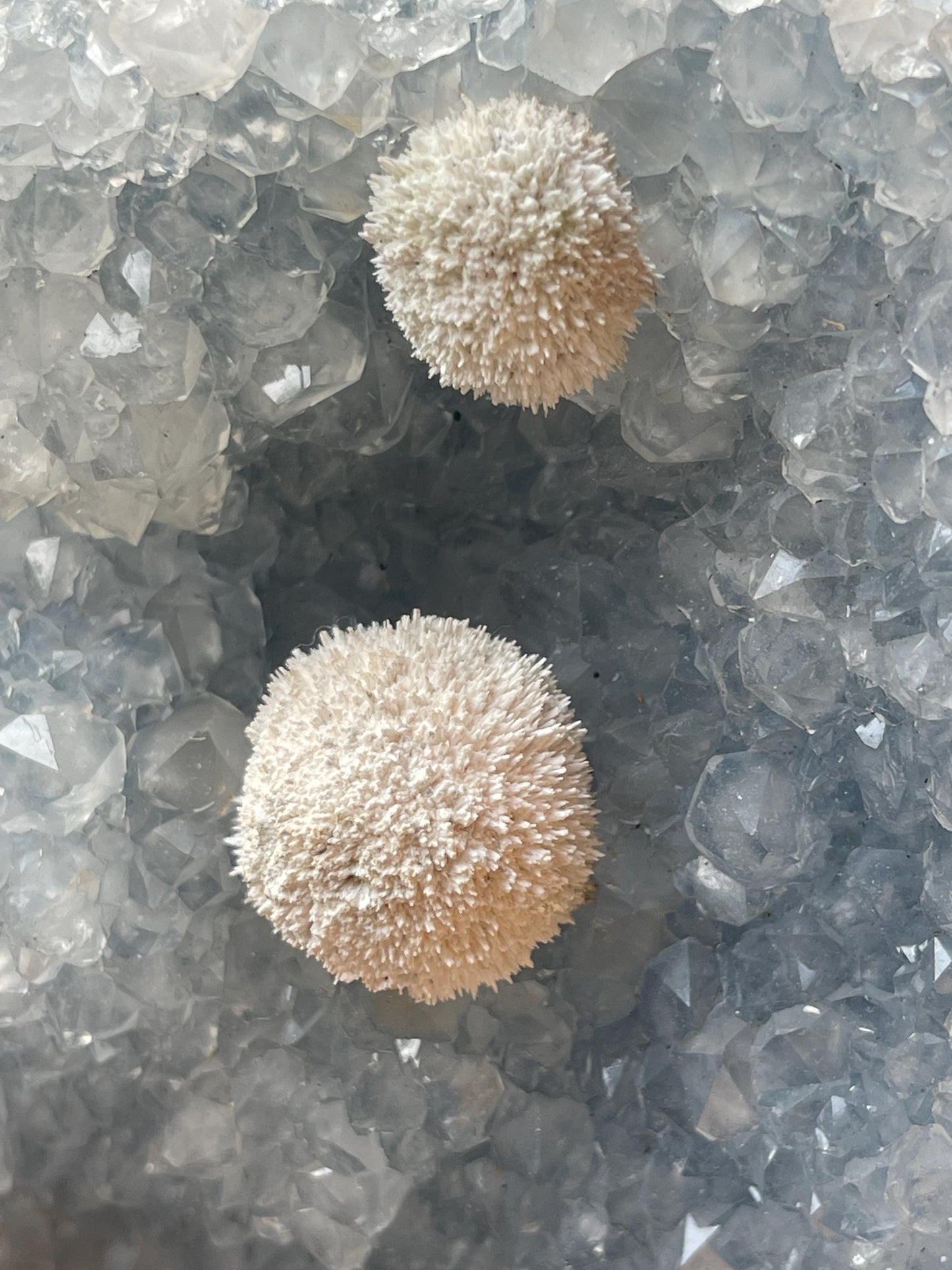 Twin okenite ball on blue quartz