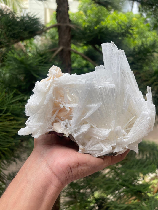 Scolecite spray with stilbite