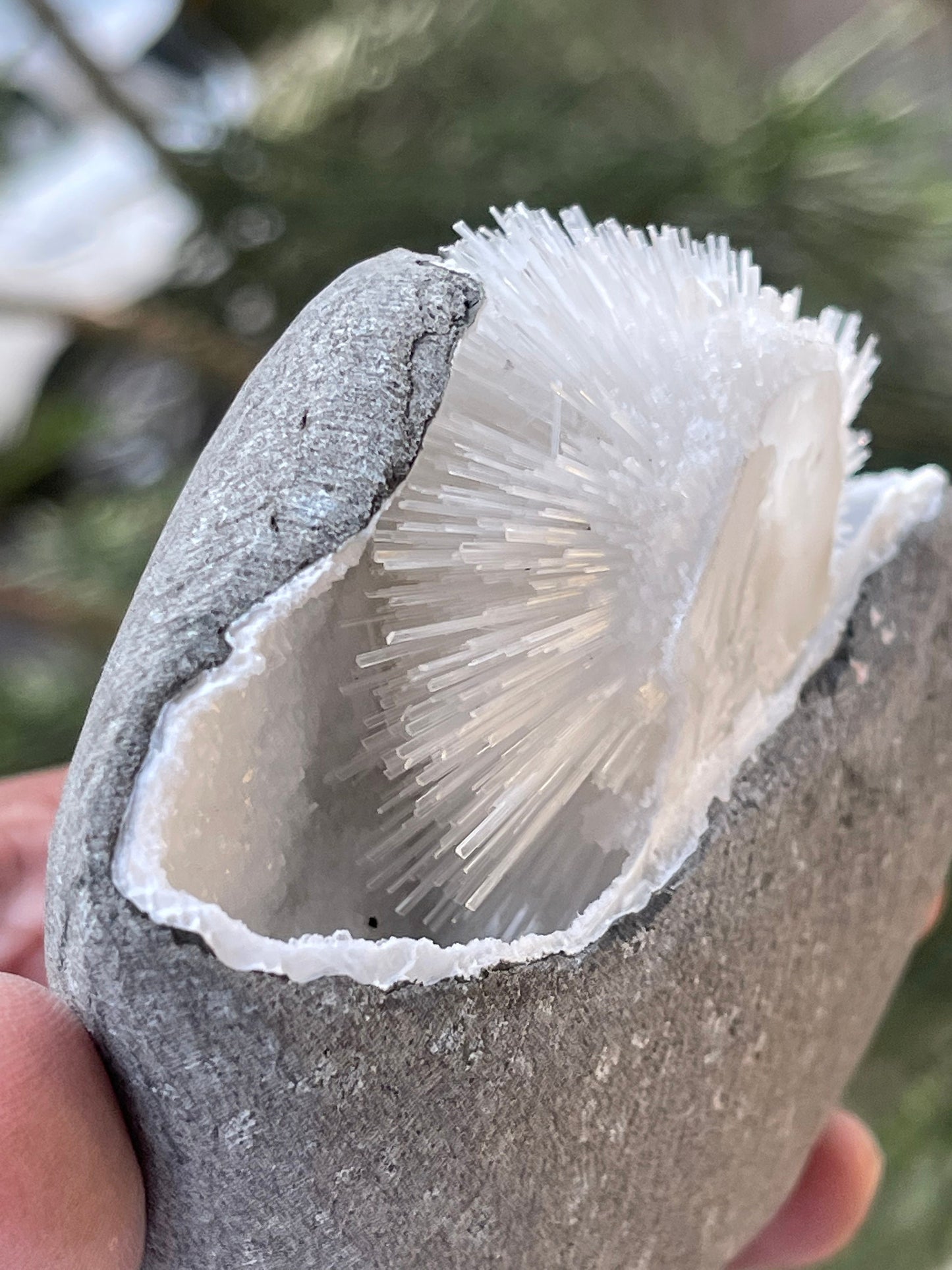 Perfect round of scolecite flowers inside quartz geode natural specimen