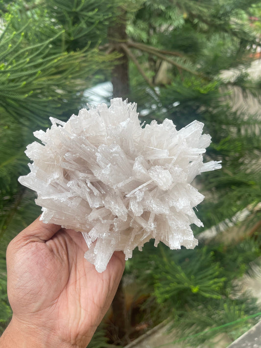 Scolecite flower