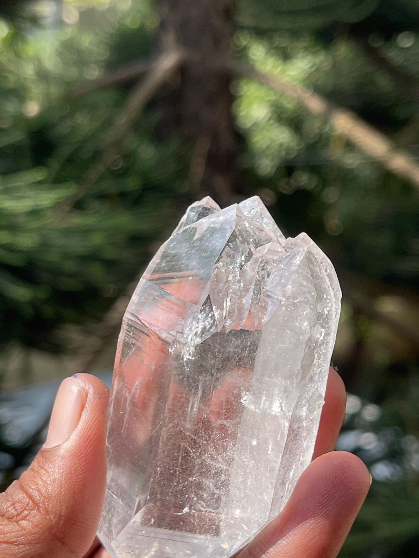 Himalayan quartz floater crystal