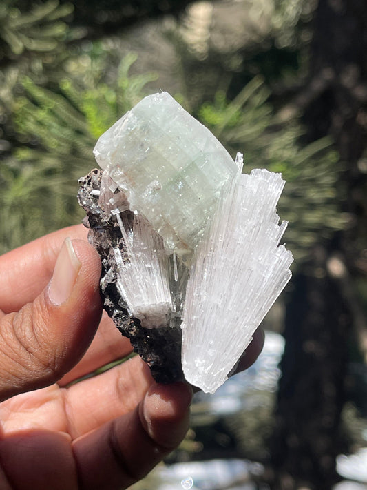 Green apophyllite cube with scolecite spray