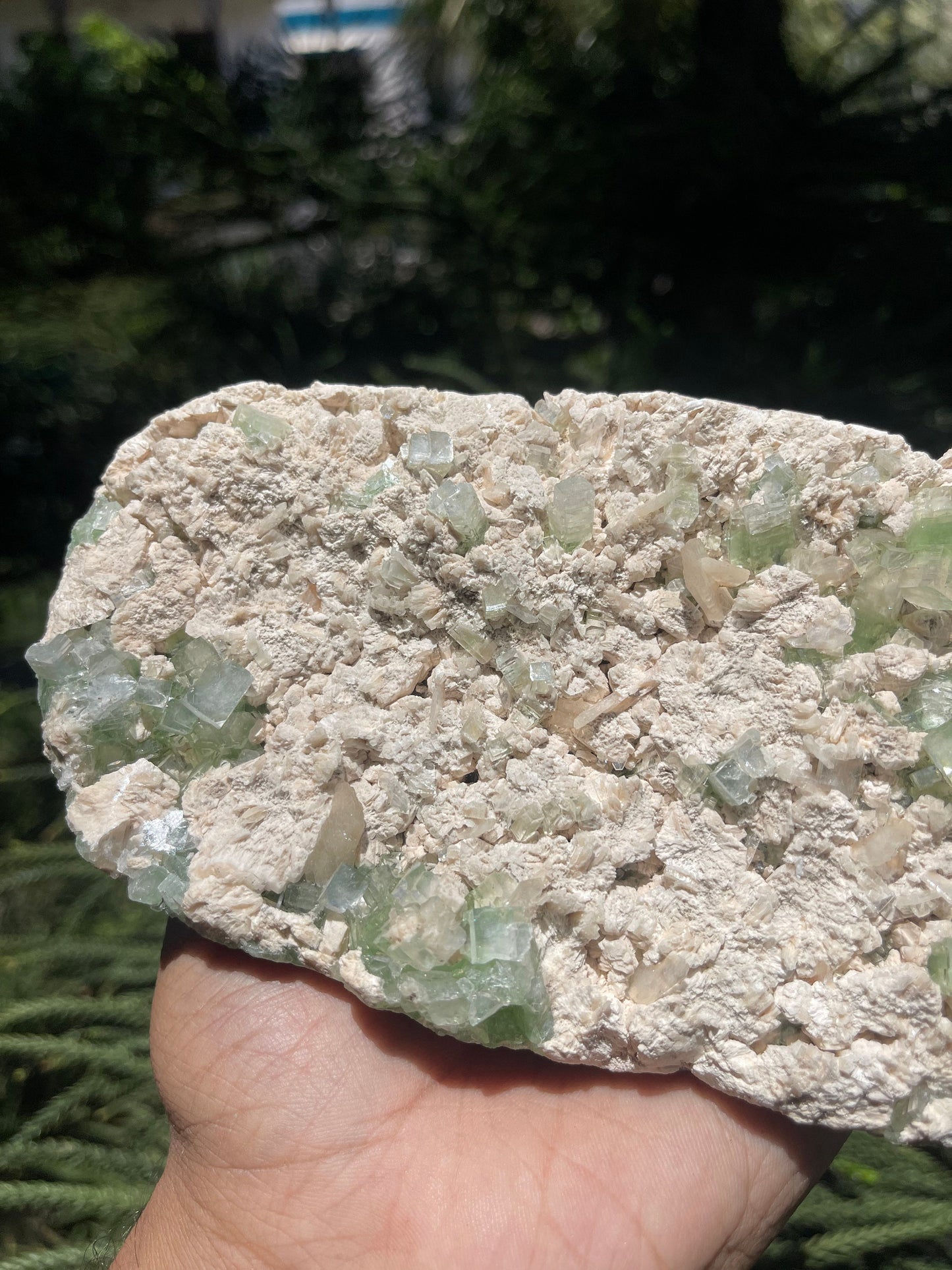 Cubicle green apophyllite crystals with stilbite on matrix