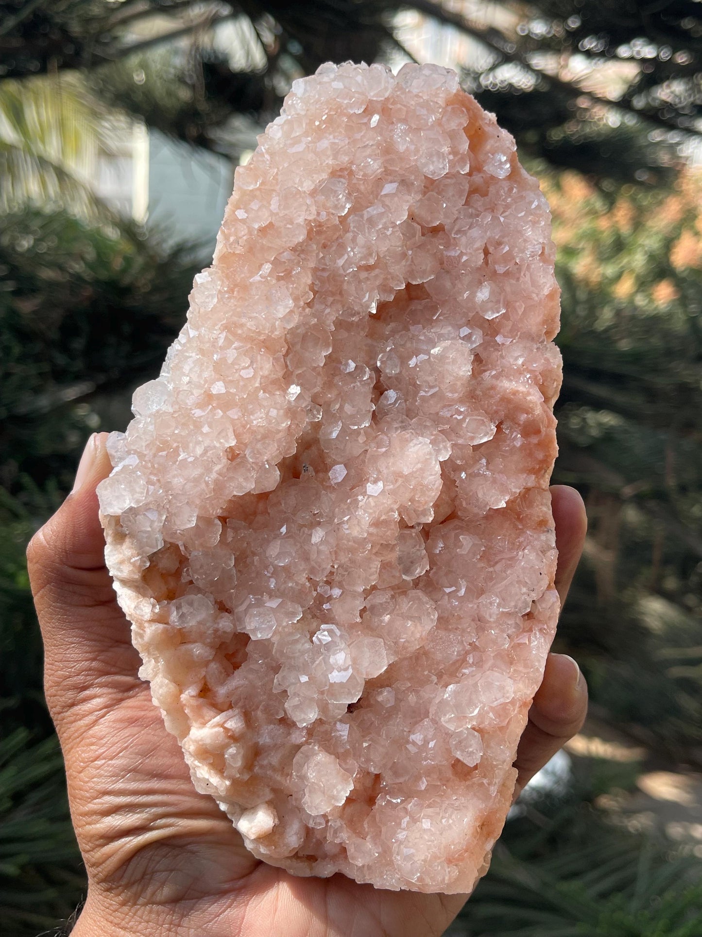 Glossy Pink Apophyllite Crystal – Stunning Natural Mineral Specimen