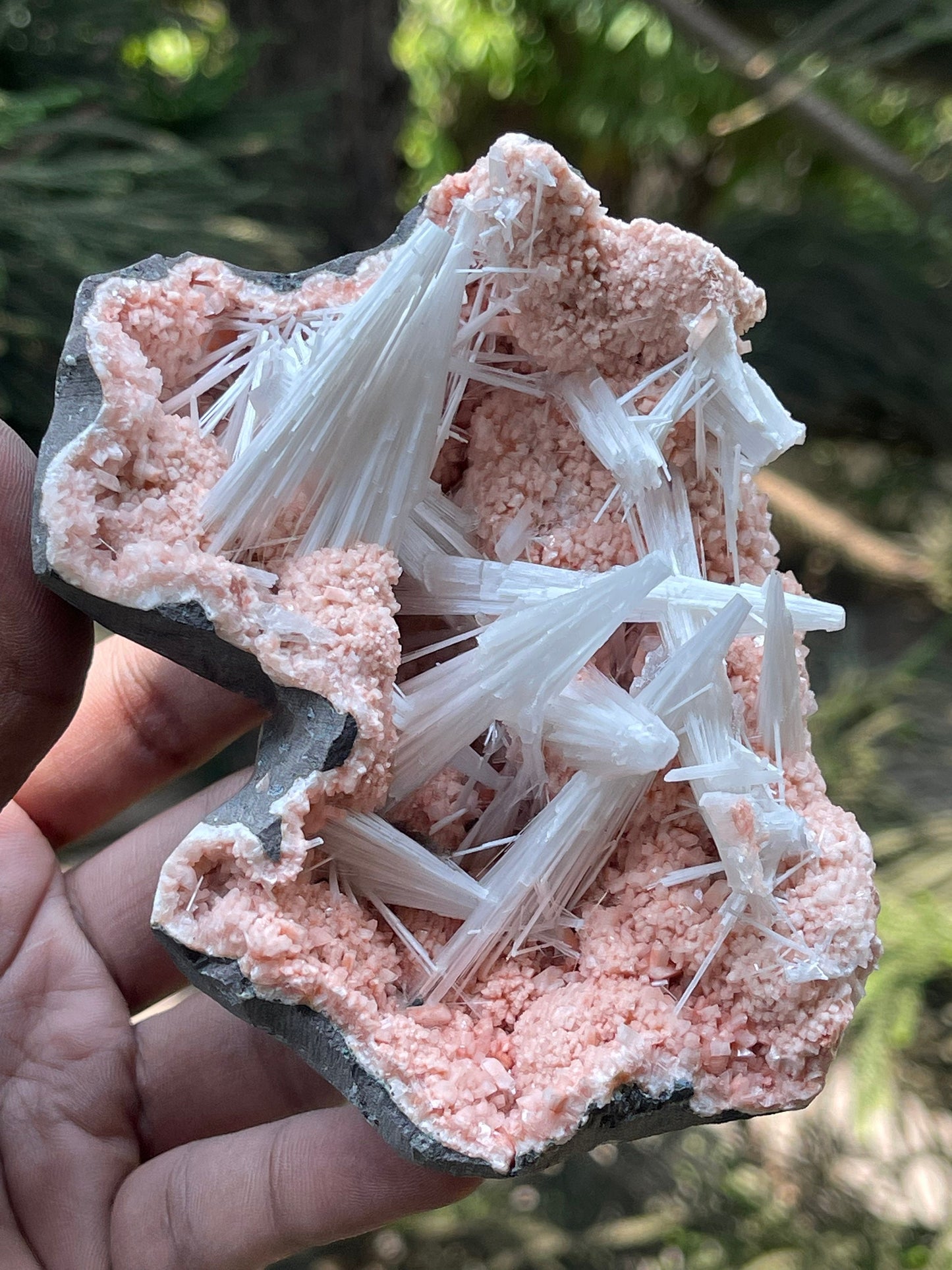 Multiple scolecite sprays on orange heulandite matrix natural specimen