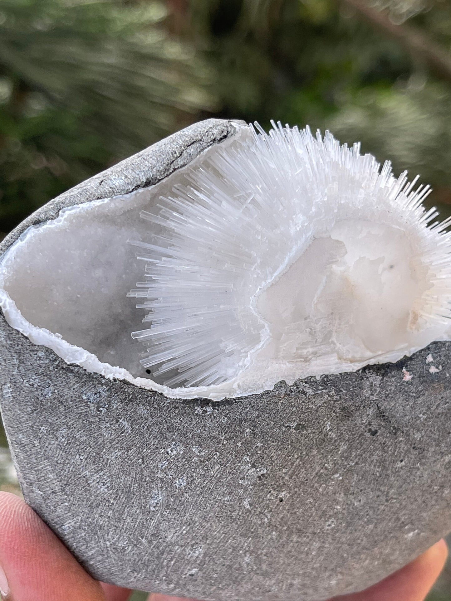 Perfect round of scolecite flowers inside quartz geode natural specimen