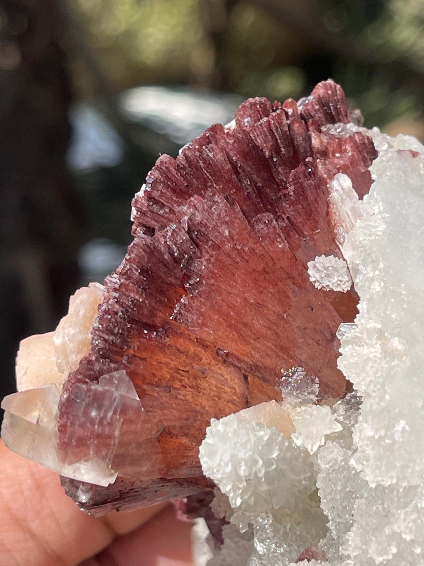 Natural Brown Heulandite Crystal with Calcite & Stilbite
