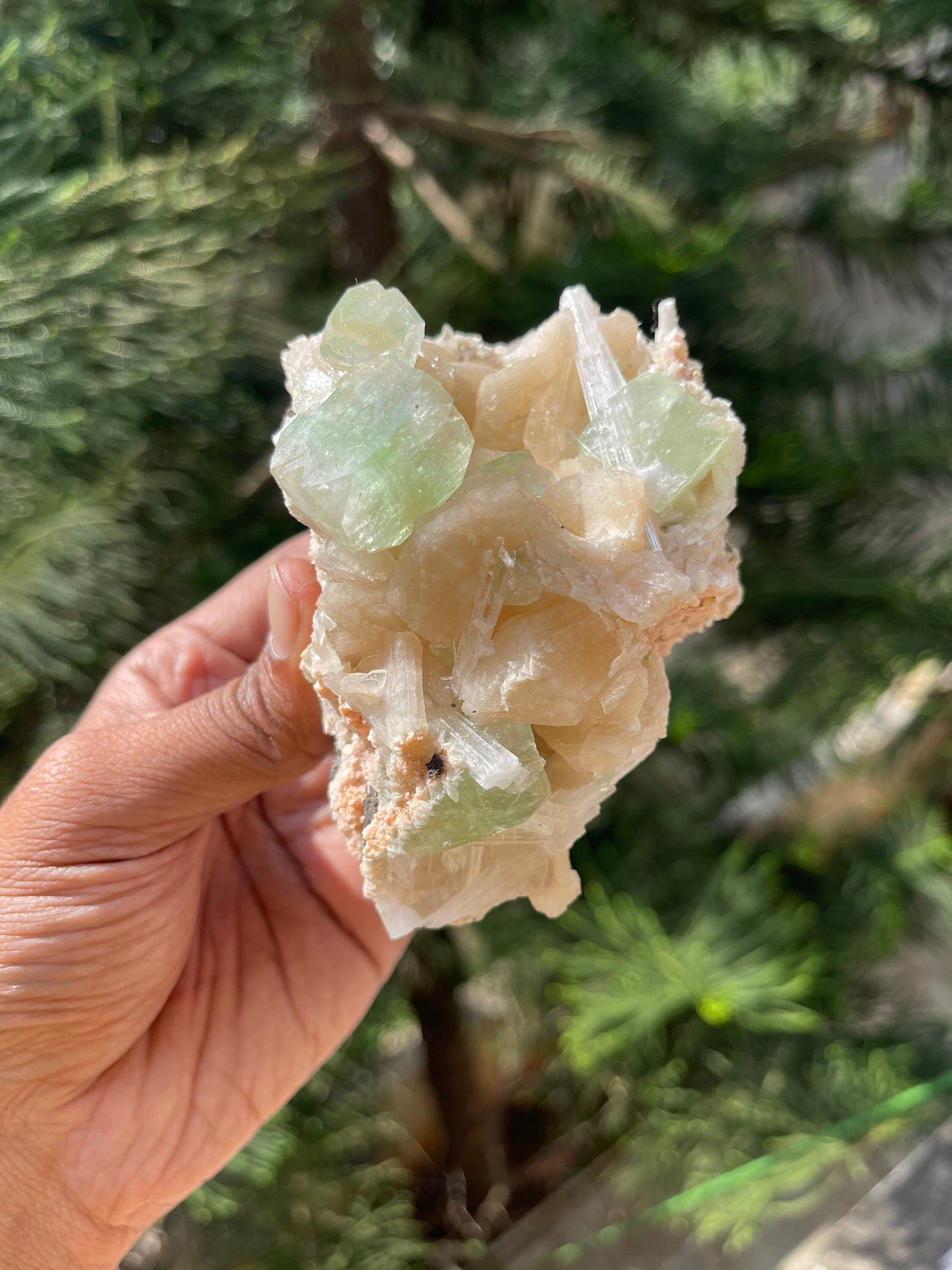 Natural green app with scolecite and stilbite
