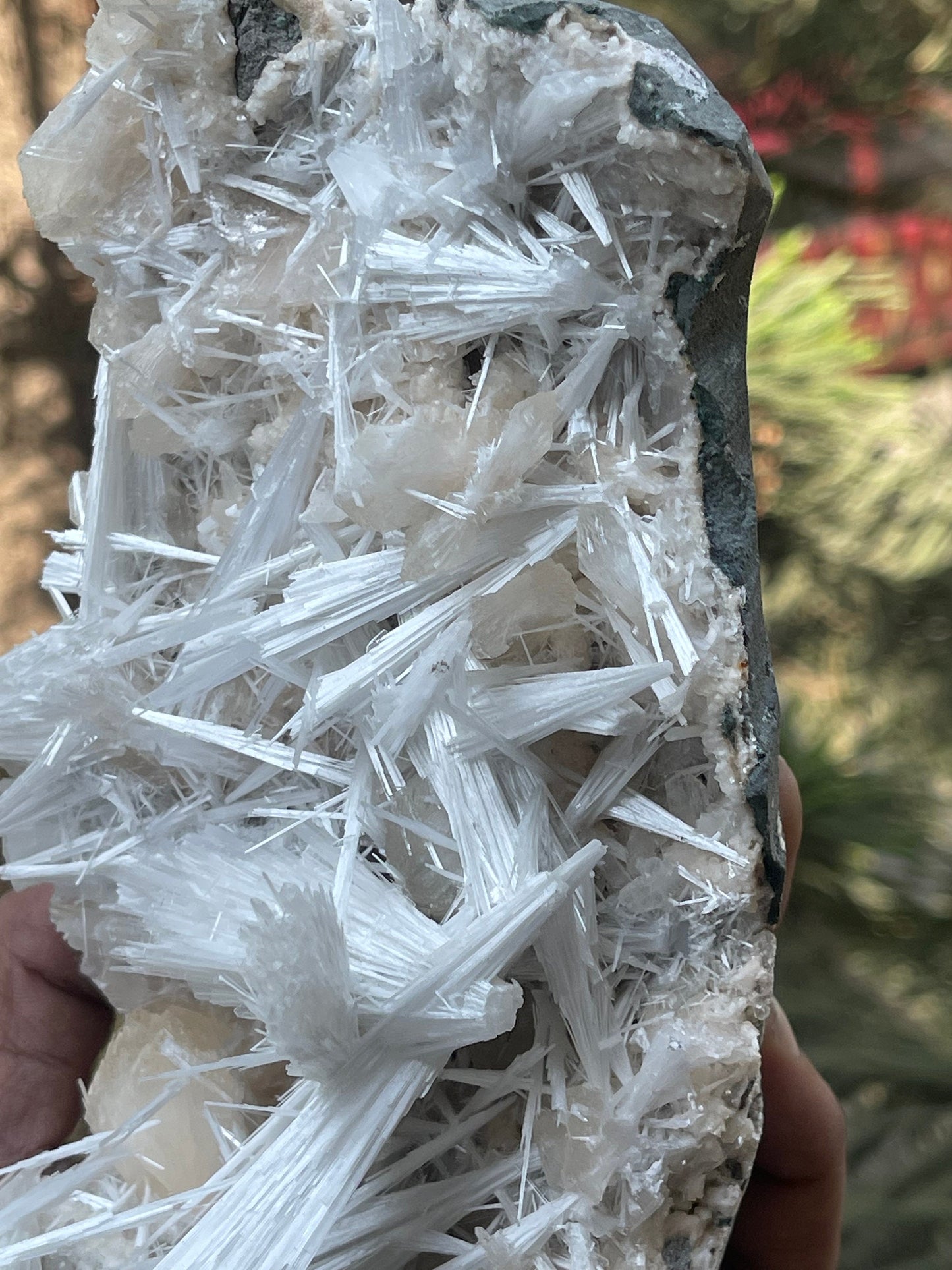 Shiney scolecite spray with stilbite/heulandite base