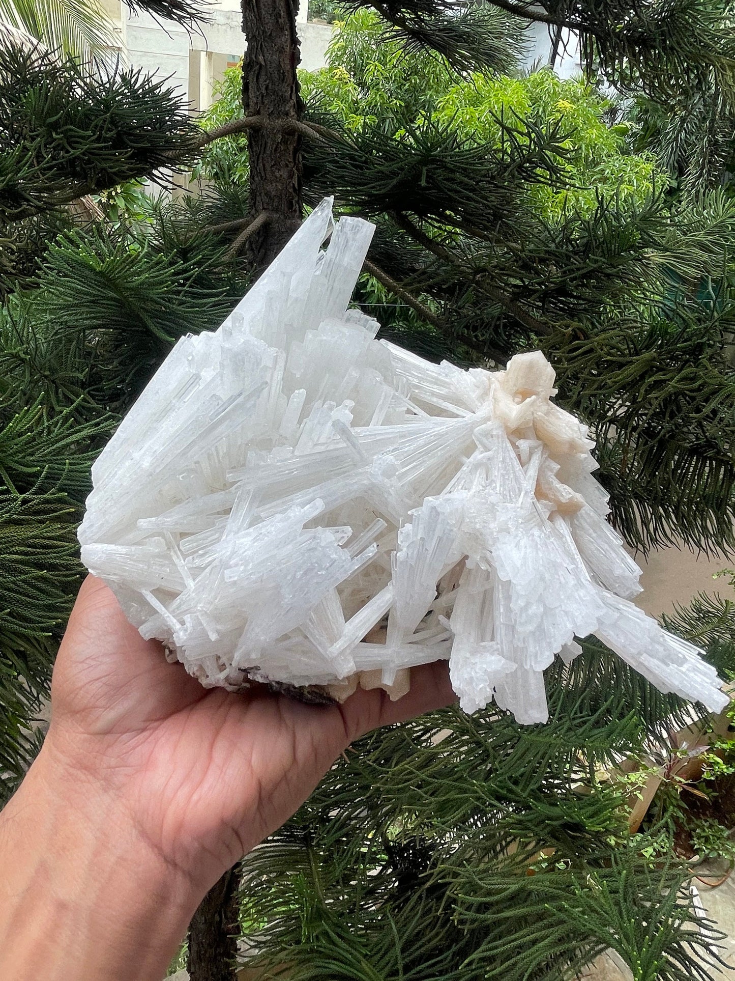 Scolecite spray with stilbite