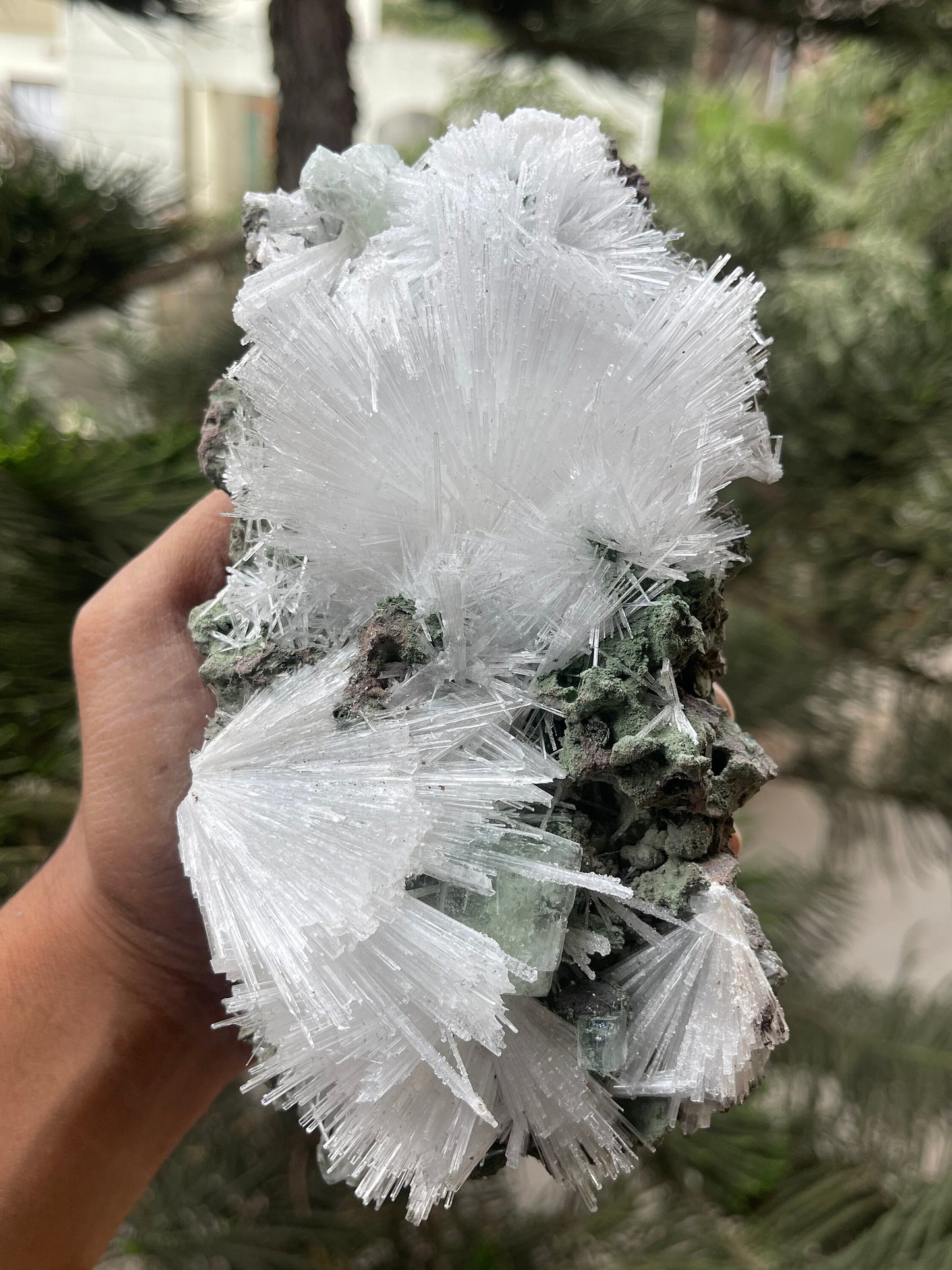 Scolecite flower with green apophyllite crystal on matrix