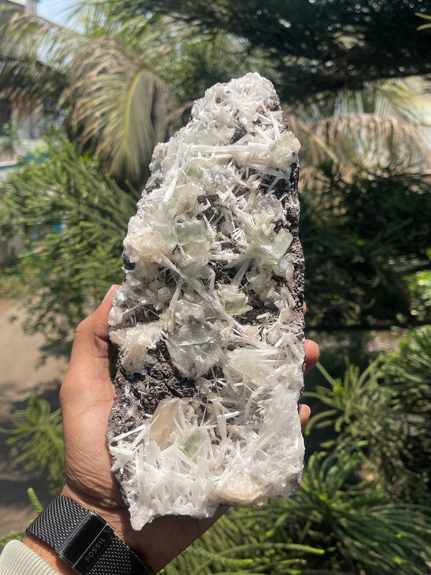Scolecite spray with green apophyllite/stilbite natural specimen