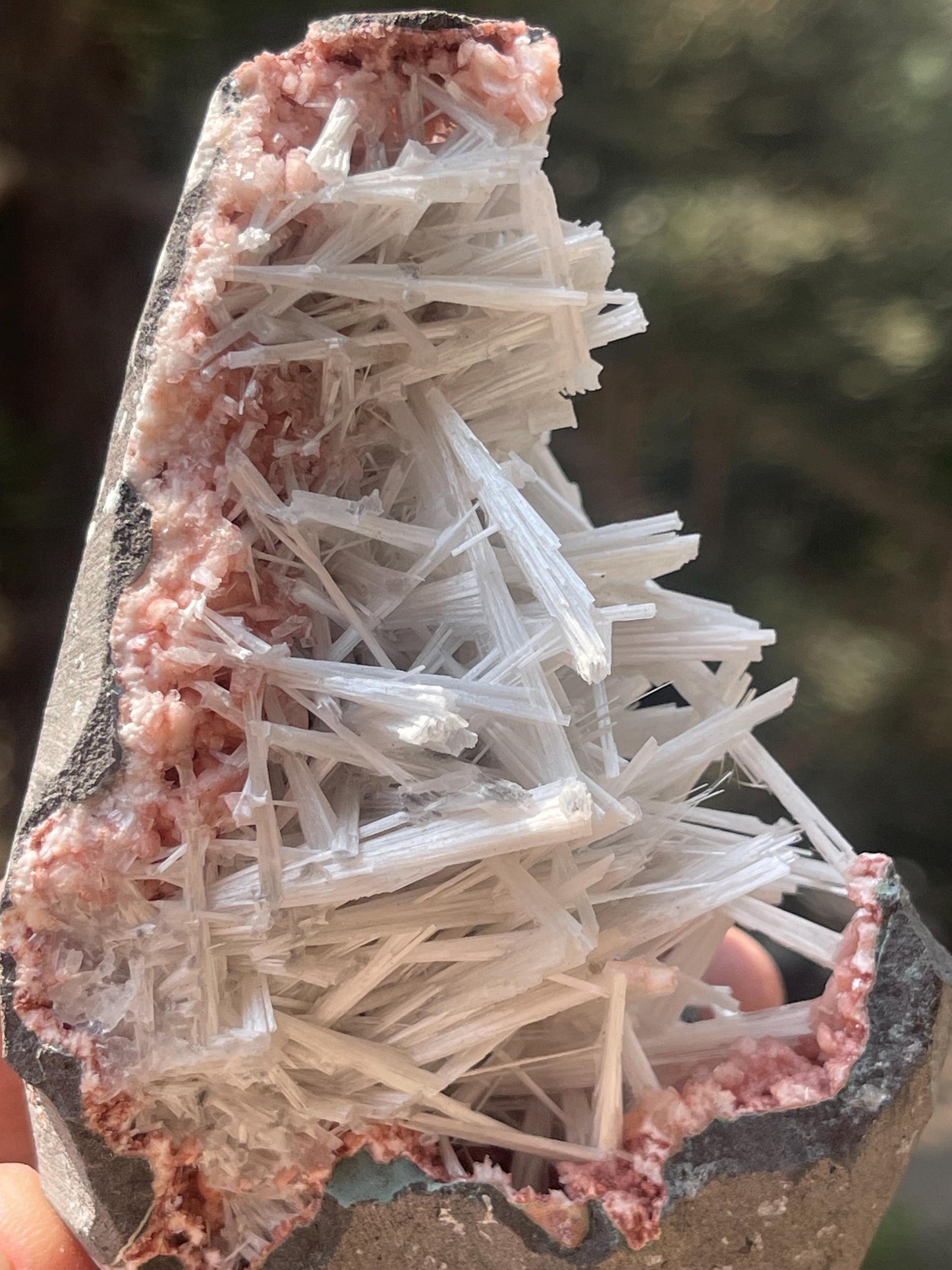 scolecite spray on orange heulandite matrix