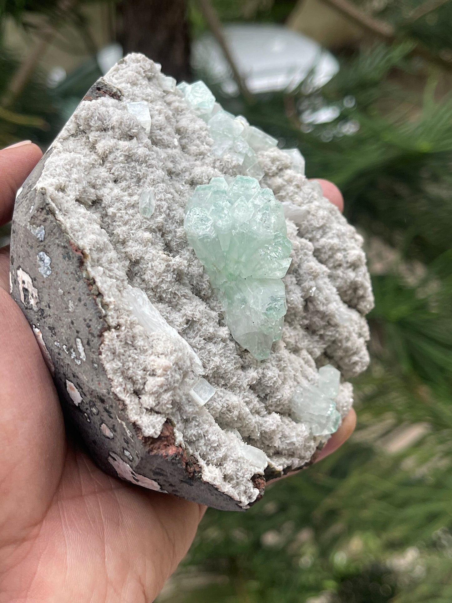 Green apophyllite crystal on chalcedony matrix