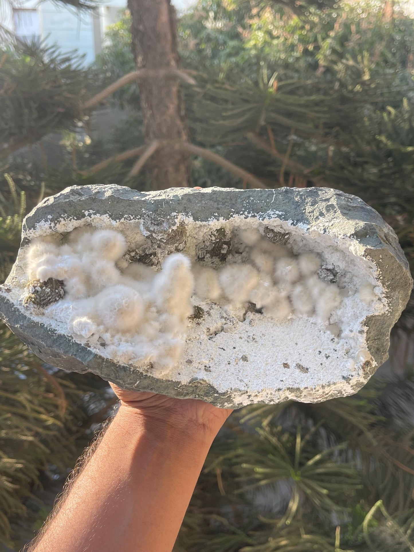 multiple okenite balls inside geode