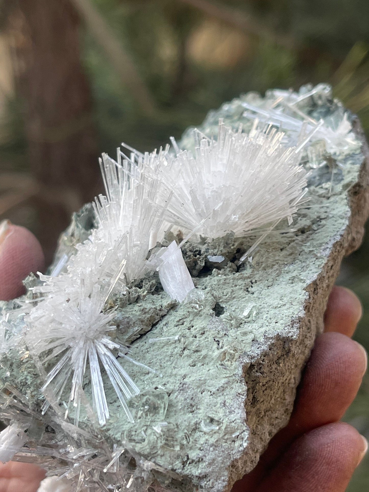 Scolecite Crystal on matrix