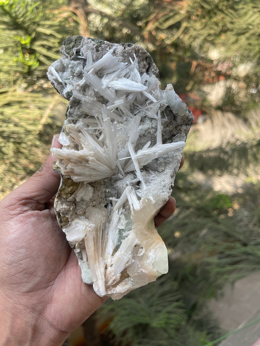 Shiney scolecite spray with stilbite/heulandite/green apophyllite